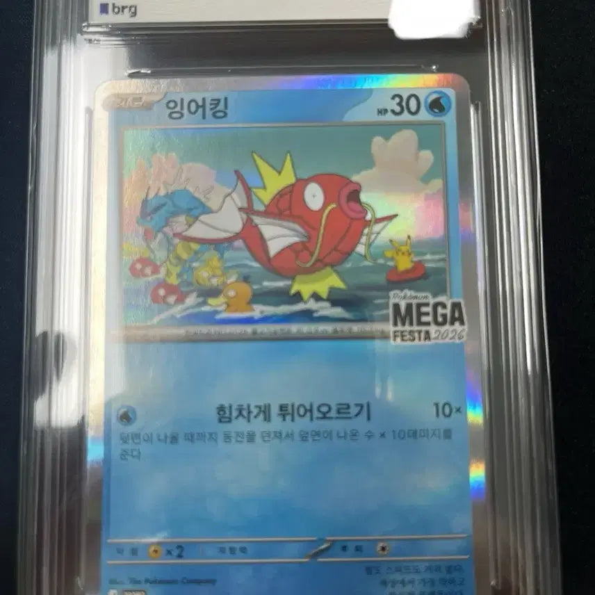 [BUNJANG] Gyarados Promo BRG10 / 잉어킹 프로모 brg10 판매합니다!