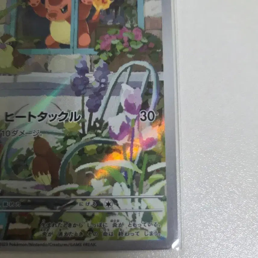 [BUNJANG] Pokemon Card Charmander AR Single Card (Japanese) / 포켓몬카드 파이리 ar 싱글카드 일판