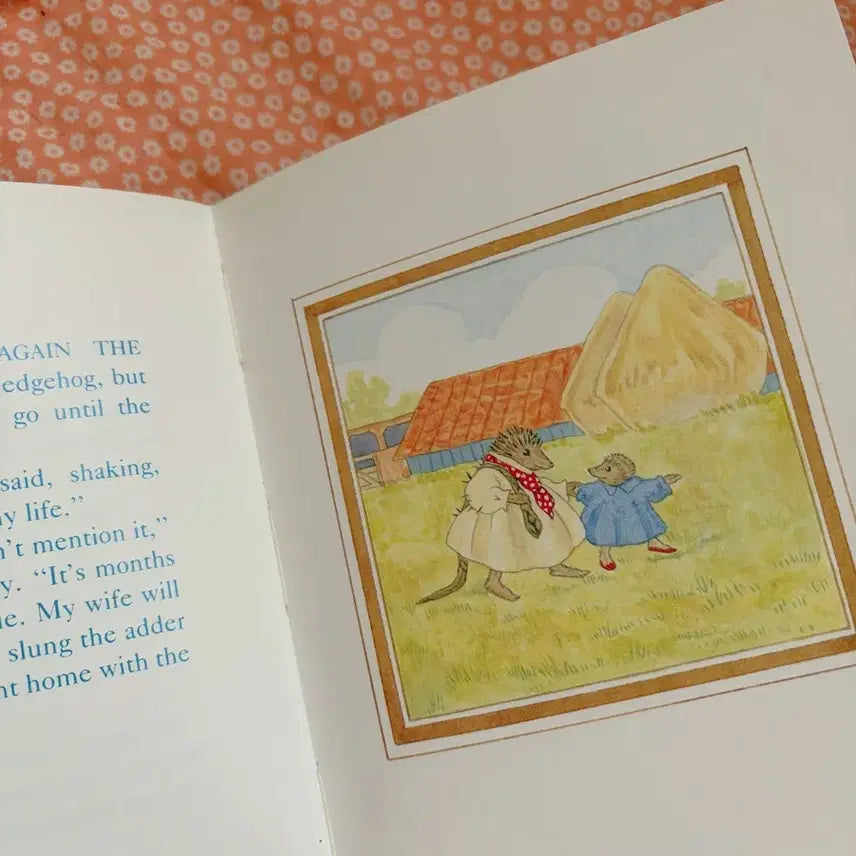 [BUNJANG] Vintage Alison Uttley Fuzzy-Wuzzy Hedgehog Story Children&