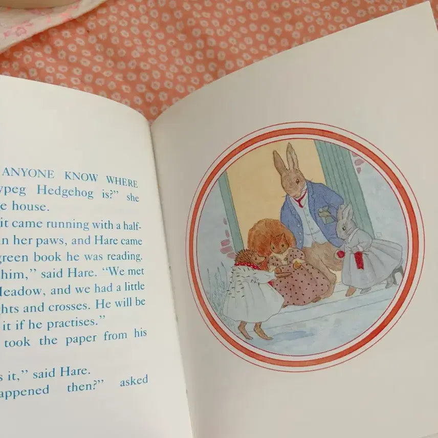 [BUNJANG] Vintage Alison Uttley Fuzzy-Wuzzy Hedgehog Story Children&