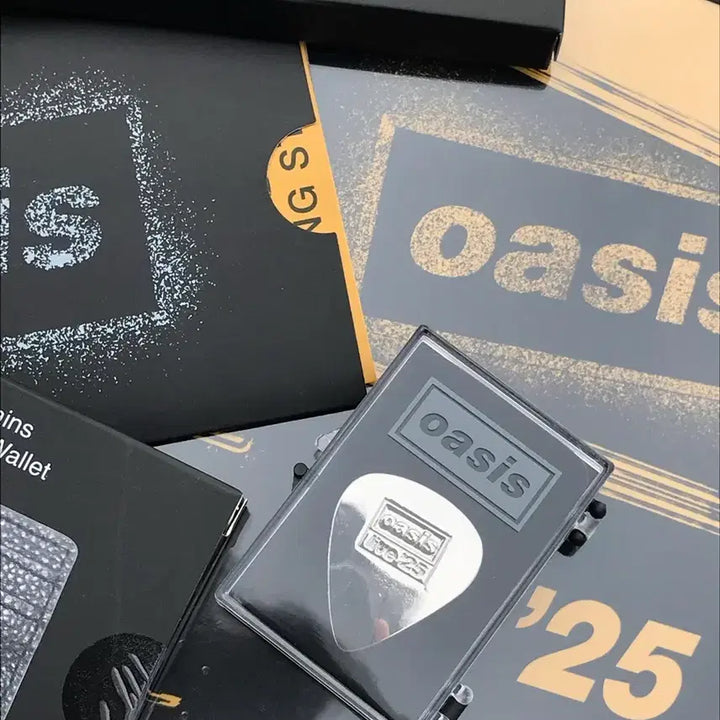 [BUNJANG] Oasis Korea Tour VIP Exclusive Limited Edition Guitar Pick Badge / 급전 오아시스 내한 vip 한정 굿즈 팝니다