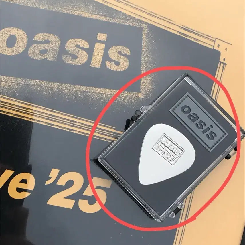[BUNJANG] Oasis Korea Tour VIP Exclusive Limited Edition Guitar Pick Badge / 급전 오아시스 내한 vip 한정 굿즈 팝니다