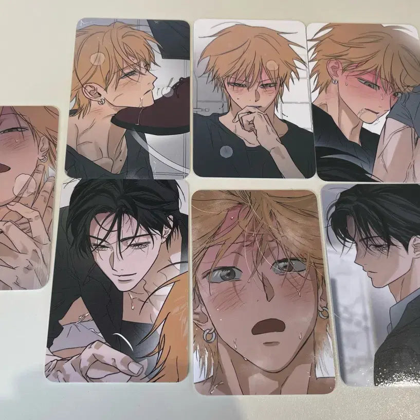 [BUNJANG] Full Book Collection Bundle Set Photocard / 풀북 컬렉션포카 컬포 일괄