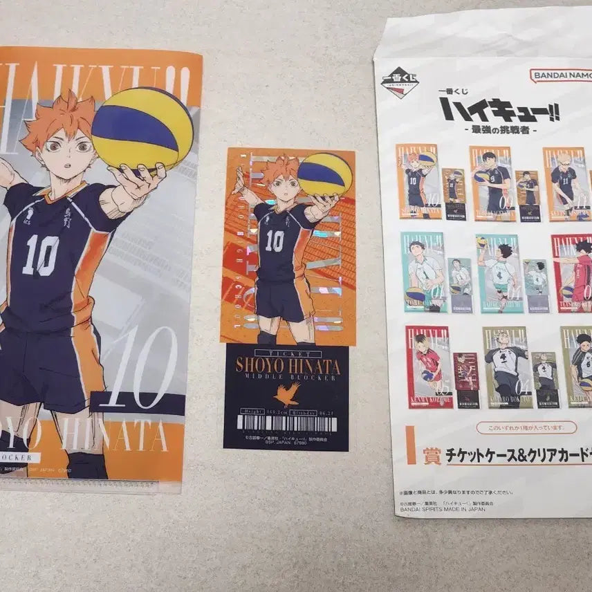 [BUNJANG] Haikyuu!! Ichiban Kuji Strongest Challenger Prize I Ticket File Hinata / 하이큐 제일복권 최강의 도전자 I상 티켓파일 히나타
