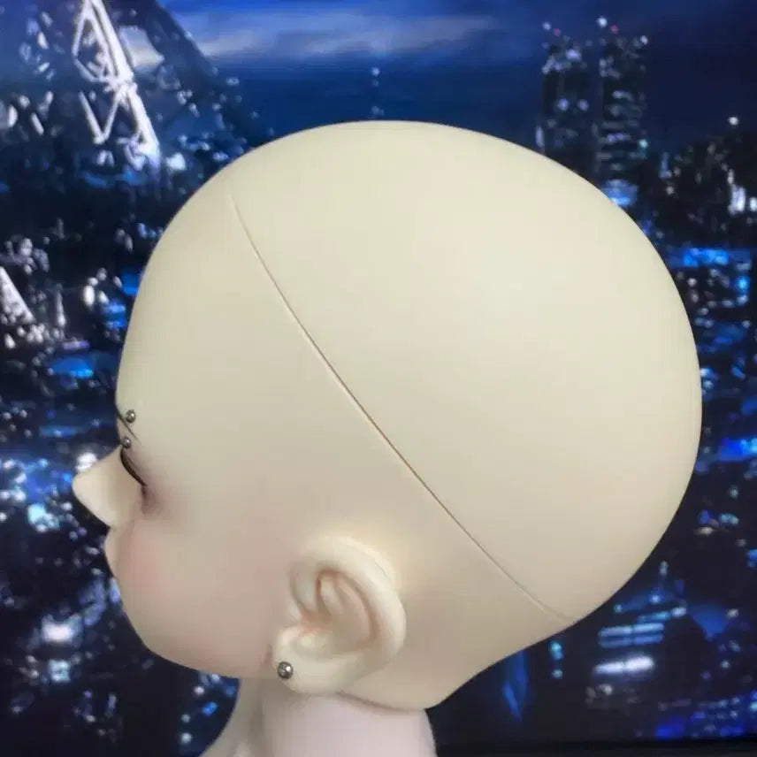 [BUNJANG] Roots MSD Head / 루츠 msd 헤드