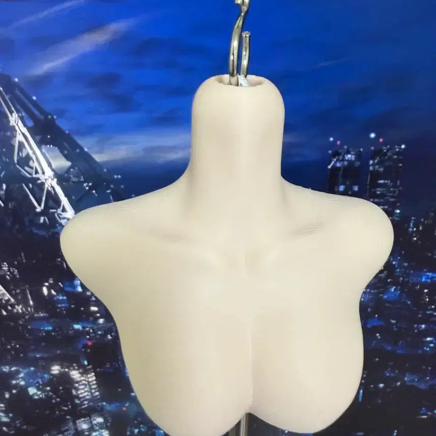 [BUNJANG] MSD Torso / msd 토르소