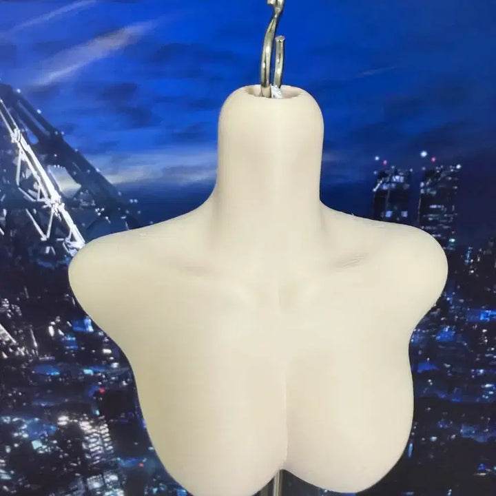 [BUNJANG] MSD Torso / msd 토르소