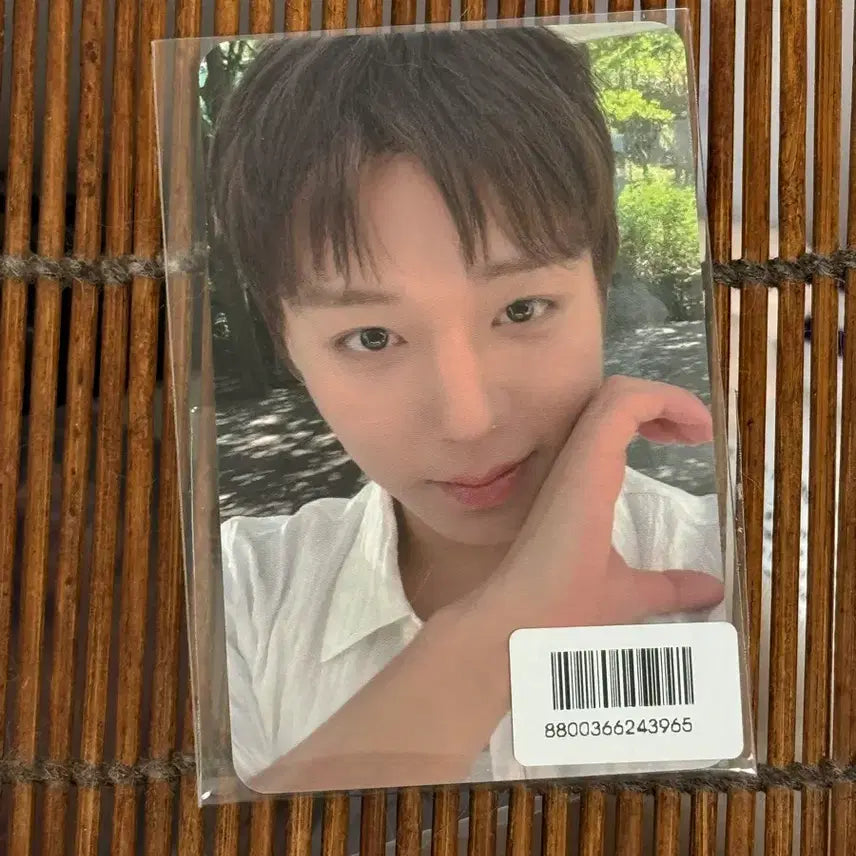 [BUNJANG] Park Jihoon FORMENT Photocard (Discontinued) / 박지훈 포맨트 포카 단종