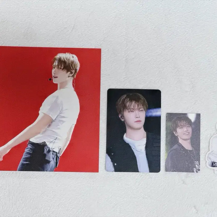 [BUNJANG] SEVENTEEN Dino Japan Limited Edition Photocard Set / [NEW_] in japan 디코 디노세트