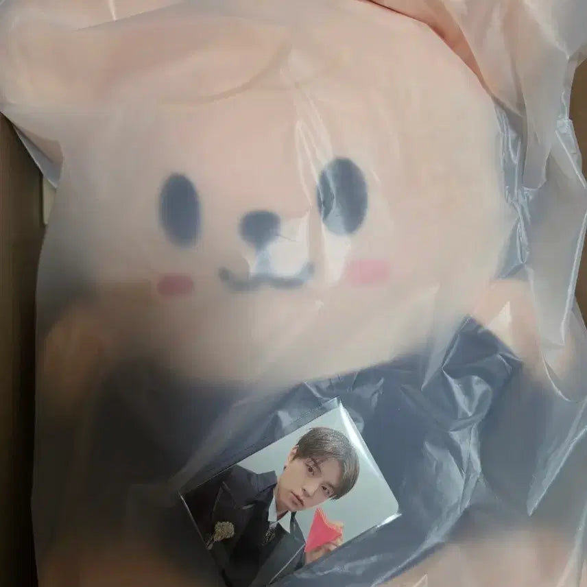 [BUNJANG] PERFOMANCE NAANA Plush Doll and Photocard Set / 퍼핌 나안아
