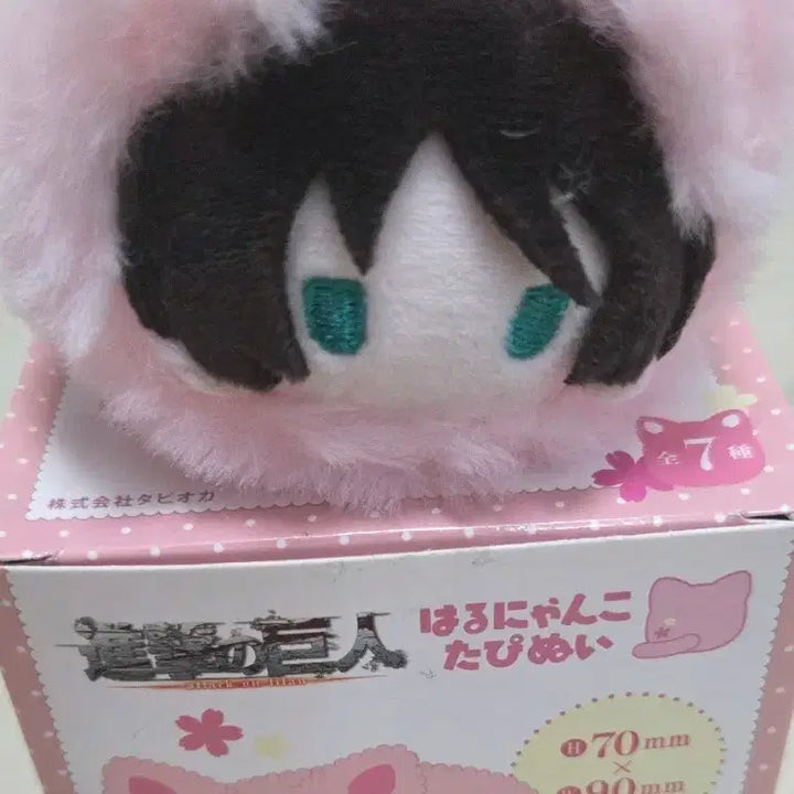 [BUNJANG] Attack on Titan Eren Nekoi Doll Keychain Box Set / 진격거인 네코누이 에렌 인형키링 박스풀셋 급처