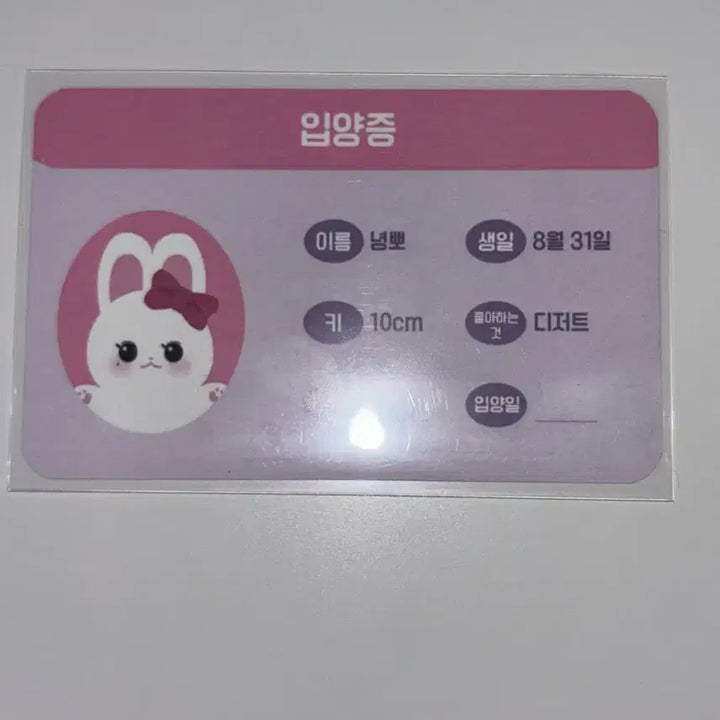 [BUNJANG] Nyeongppo &amp; Berry Nyeong Bundle Set / 녕뽀 베리녕 풀구성 일괄 양도합니다!
