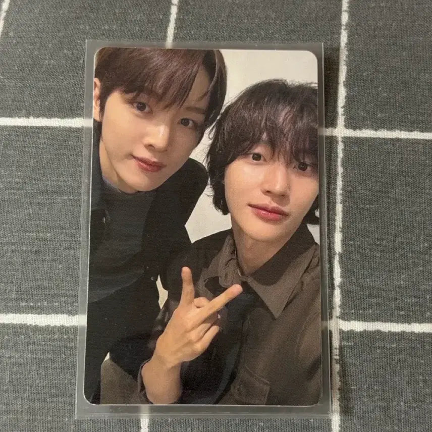 [BUNJANG] RIIZE Sungchan Wonbin Unit Photocard Japan Fanmeeting MD / 라이즈 순정즈 성찬 원빈 포카 포토카드 유닛 일팬 일본팬미팅 엠디