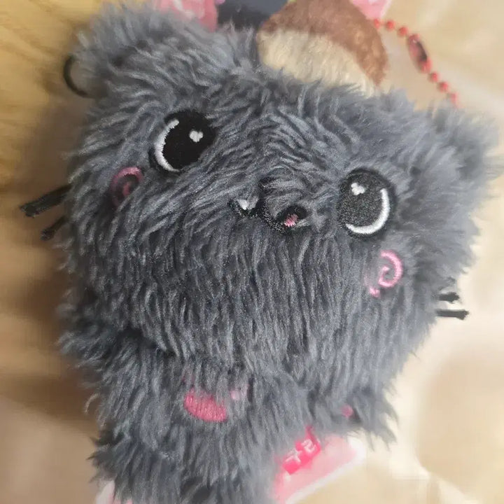 [BUNJANG] NCT WISH Riku Kuri Pocket Wishdoll Doll / 엔시티 위시 리쿠 쿠리 포켓 위시돌 인형