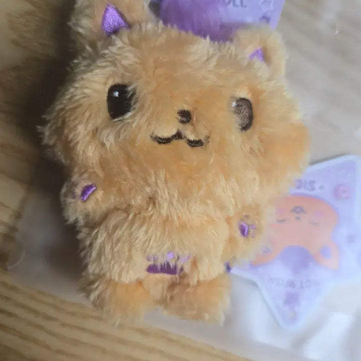 [BUNJANG] NCT WISH Sion Sioining Pocket Wish Doll / 엔시티 위시 시온 시오닝 포켓 위시돌 인형