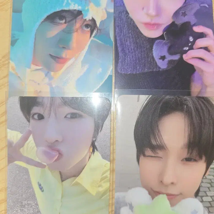 [BUNJANG] NCT Wish WISH Collection Doll Bundle Set / 엔시티 위시 위츄 인형 일괄 판매
