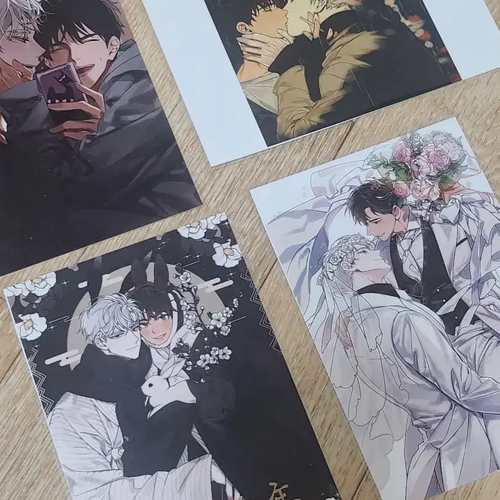 [BUNJANG] Fashion Printing Box Bundle Set / 패션 bl 프린팅박스 프박 일괄 양도