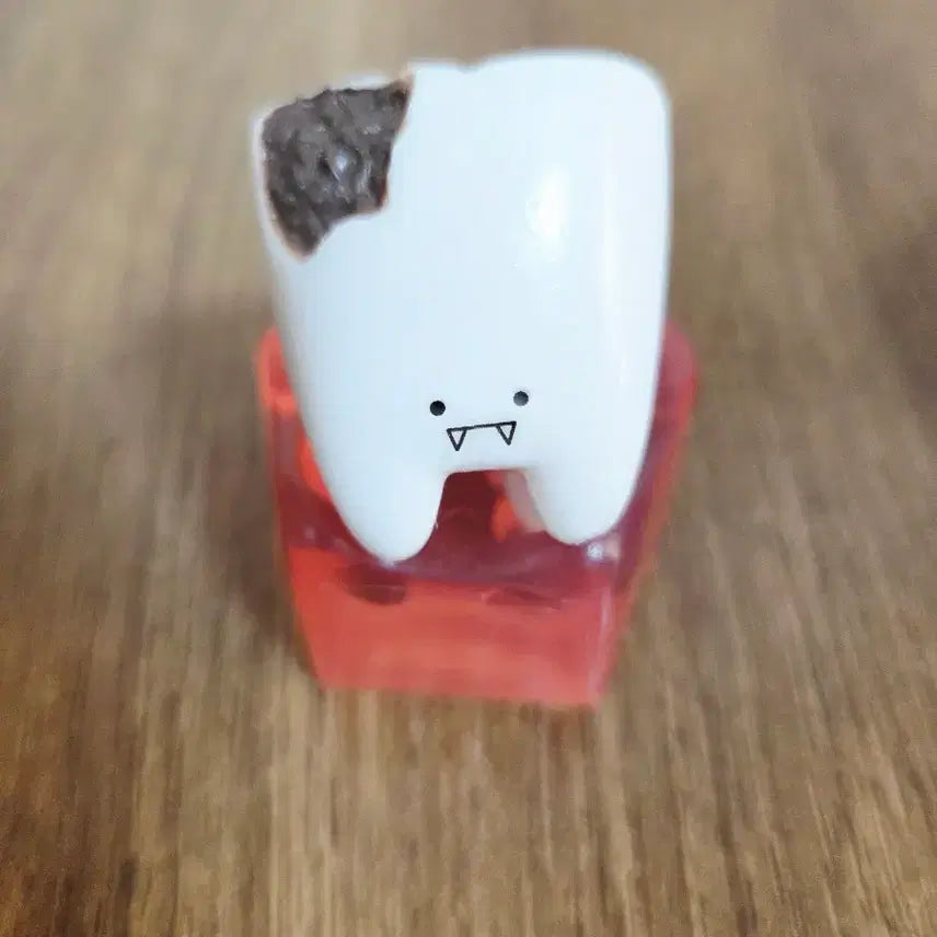 [BUNJANG] Tooth Gacha Capsule Toy / 치아 이빨 가챠