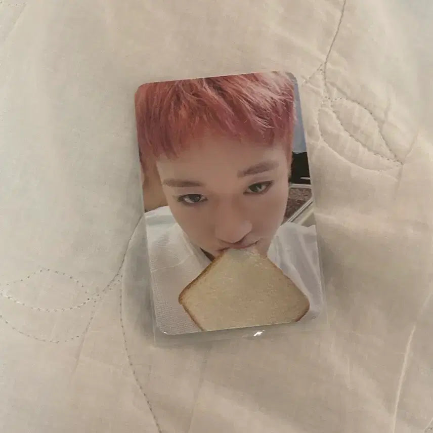 [BUNJANG] Park Jihoon Reflect Photocard (Special POB) / 박지훈 특전 식빵 포카 리플렉트 포토카드