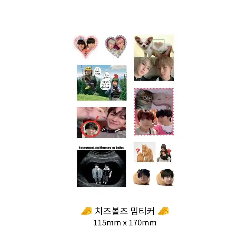 [BUNJANG] Sogeumntakyeon Wish Cheeseballs Meme Sticker Set (2 Stickers + 1 Postcard) / 소금니택견 위시 치즈볼즈 밈티커 1set (스티커 2장 + 엽서)