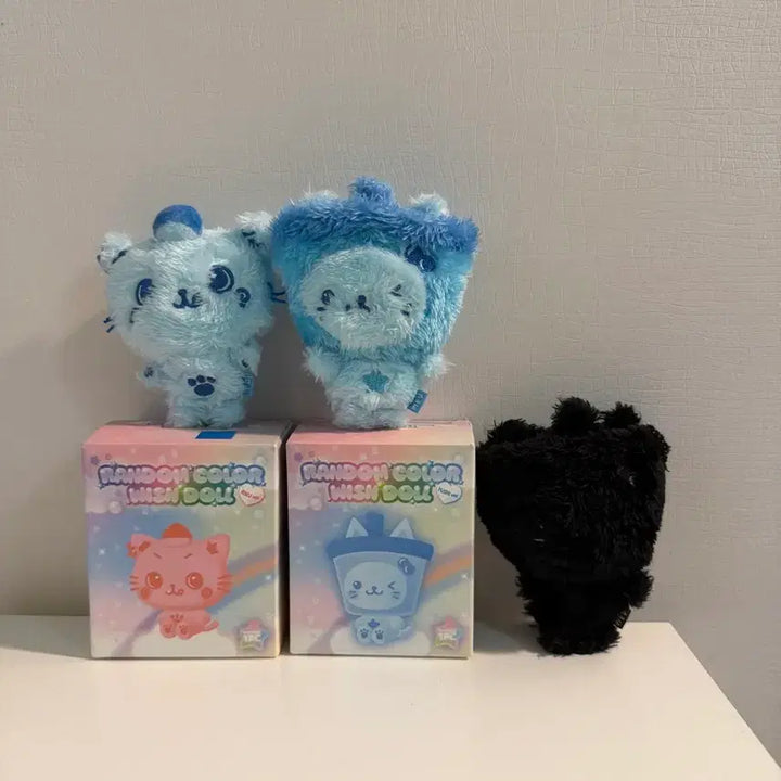 [BUNJANG] NCT WISH Color Wish Doll Secret Bubble Cat Blue Kuri Blue Bubble Cat Bundle Set / (반택포 일괄) 엔시티위시 컬러 위시돌 시크릿 버블냥 블루 쿠리 블루 버블냥 양도