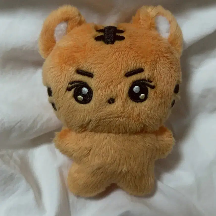 [BUNJANG] ENHYPEN Jungwon Doll / 엔하이픈 정원 인형