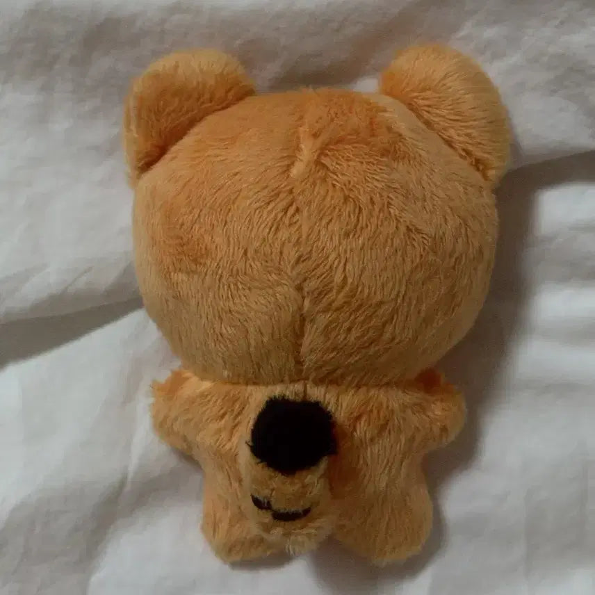 [BUNJANG] ENHYPEN Jungwon Doll / 엔하이픈 정원 인형
