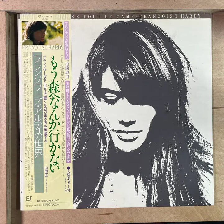[BUNJANG] Françoise Hardy Ma Jeunesse Fout Le Camp 1979 Japanese LP / Francoise Hardy 일본 1979년 LP