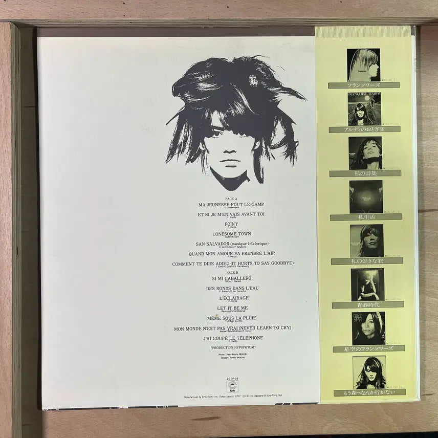 [BUNJANG] Françoise Hardy Ma Jeunesse Fout Le Camp 1979 Japanese LP / Francoise Hardy 일본 1979년 LP