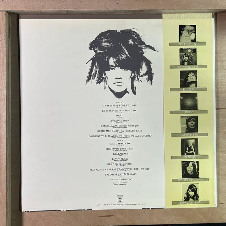[BUNJANG] Françoise Hardy Ma Jeunesse Fout Le Camp 1979 Japanese LP / Francoise Hardy 일본 1979년 LP