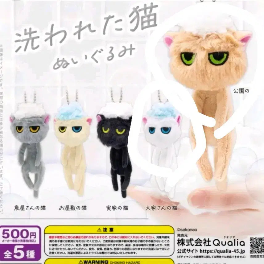 [BUNJANG] Washed Cat Series Gacha Figure / 씻긴 고양이 씻겨져버린 고양이 목욕한 고양이 길들여지지 않는 고양이 냥빨 가챠