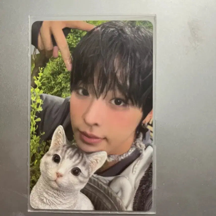 [BUNJANG] NCT WISH Riku Color Photocard / 엔시티위시 리쿠 포카 컬러