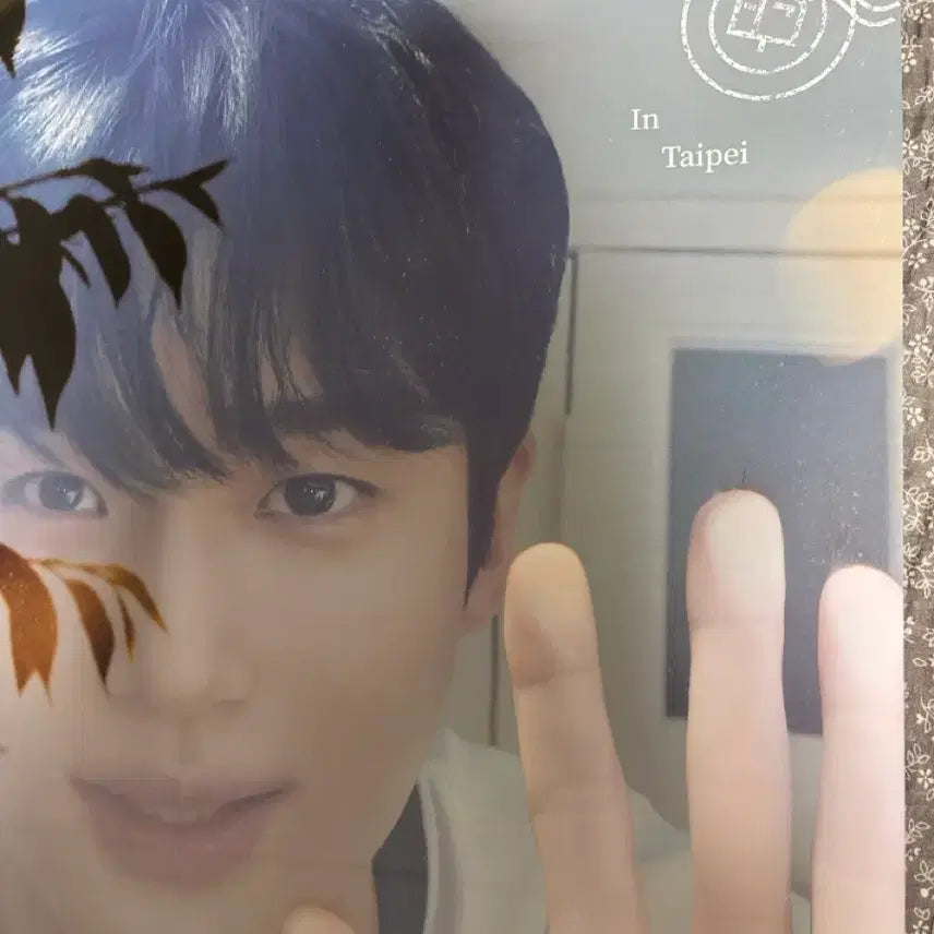 [BUNJANG] Byun Woo Seok Taiwan Fan Meeting Poster / 변우석 팬미팅 대만포스터