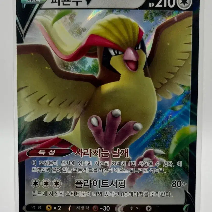 [BUNJANG] Pokémon F Pigeon RR / 포켓몬카드 피죤투 RR