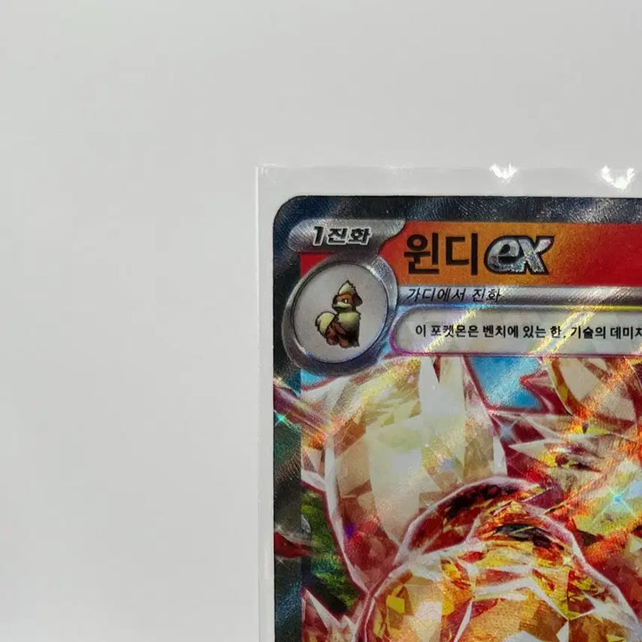 [BUNJANG] Pokemon Card Vintic RR / 포켓몬카드 윈디 RR