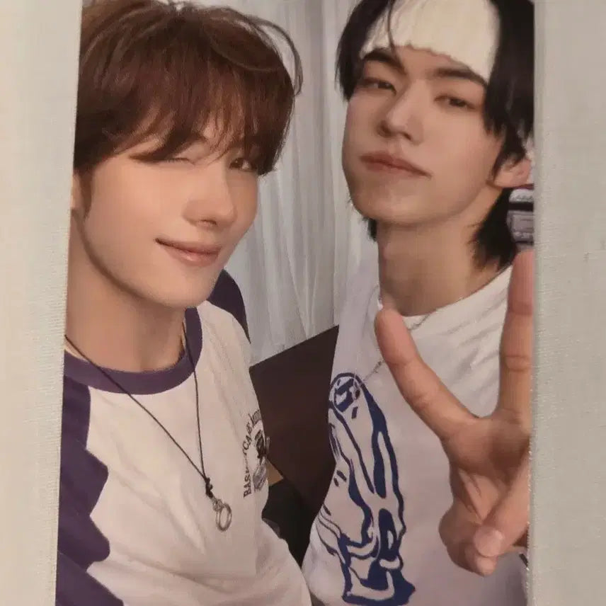 [BUNJANG] Tours SODA SODA Unit Photocard Youngjae Dohoon / (현물) 투어스 소다소다 유닛포카 영재 도훈 빵또즈