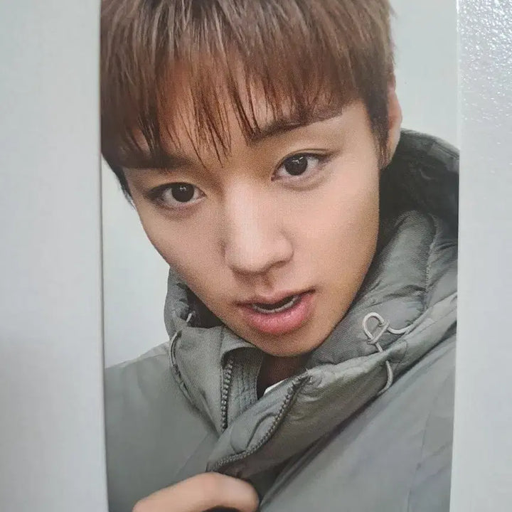 [BUNJANG] Park Ji Hoon Superdry Photocard Bundle Set / 박지훈 수퍼드라이 포카 3종 일괄 무배