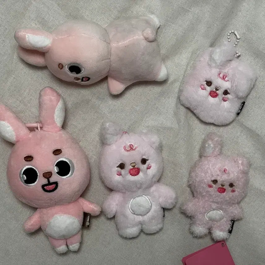 [BUNJANG] Day6 Daanimals Petitmals Wonpil Bundle Set / 데이식스 데니멀즈 쁘띠멀즈 원필 필 일괄양도