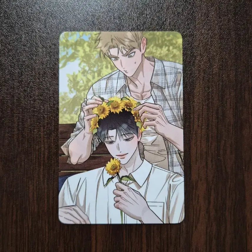 [BUNJANG] Hongsil Quest Popup POB Photocard / 홍실퀘스트 홍퀘 팝업 특전 포카 포토카드