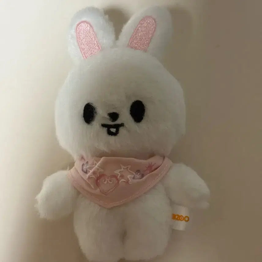[BUNJANG] Stray Kids 5th Fanmeeting Lee Know Doll / 스트레이 키즈 5기 팬미팅 굿즈 리노 인형