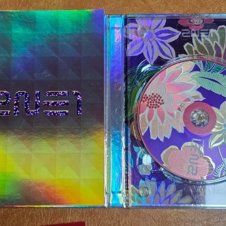 [BUNJANG] 2NE1 1st Full Album Park Bom Photocard / 2NE 1 정규1집 (박봄포카)