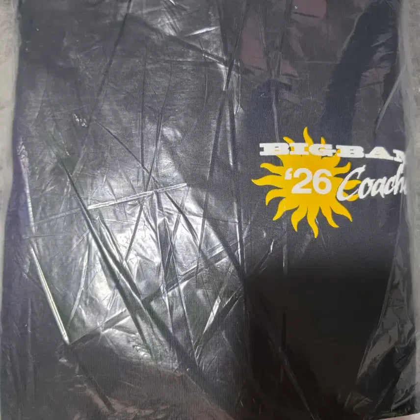 [BUNJANG] Bigbang Coachella MD Hoodie L Size / 빅뱅 코첼라 후드 L사이즈 판매합니다