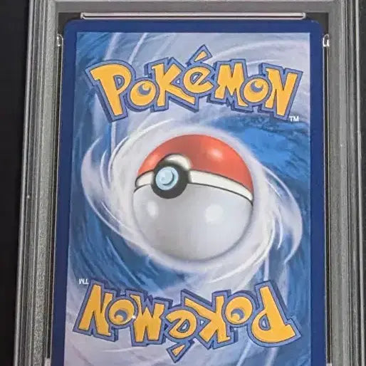 [BUNJANG] Pokemon TCG Vicini Shield SAR Card / 비크티니 실드전 sar 원피스카드 야마토랑 교환합니다!