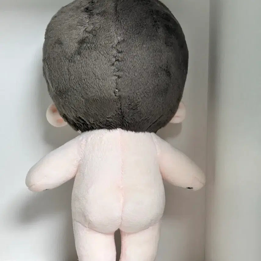 [BUNJANG] Hwasan Gwihan Im So-byeong Unofficial Plush Doll / 화산귀환 임소병 비공식 인형 솜깅 판매합니다!