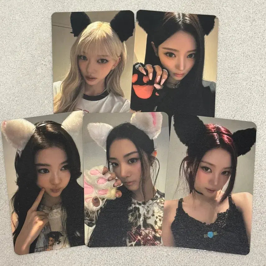 [BUNJANG] Miyao Music Plant POB Photocard / 미야오 뮤직플랜트 미공포 포토카드