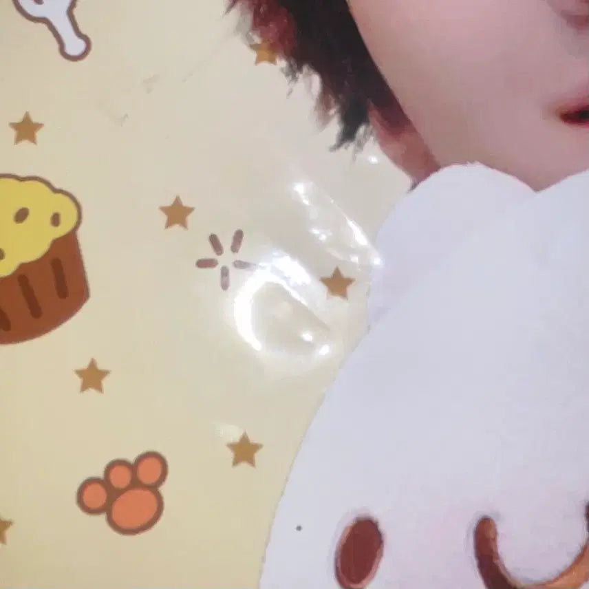 [BUNJANG] BOYNEXTDOOR Woonghee Uchiwa / 보넥도 운학 우치와