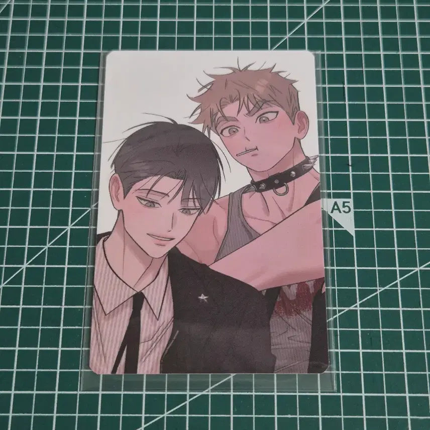 [BUNJANG] Hongsil Quest Pop-up POB Photocard / 홍실퀘스트 팝업 특전 포토카드