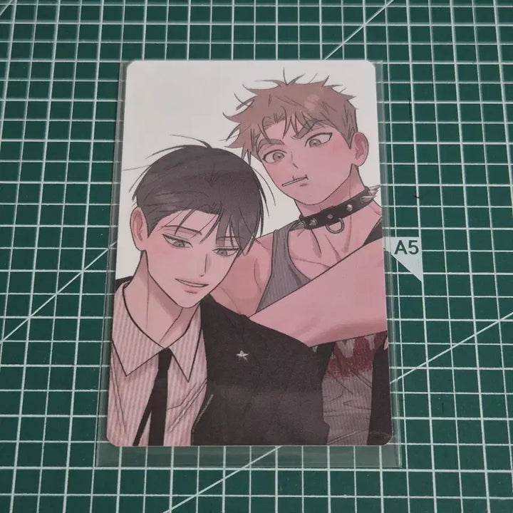 [BUNJANG] Hongsil Quest Pop-up POB Photocard / 홍실퀘스트 팝업 특전 포토카드