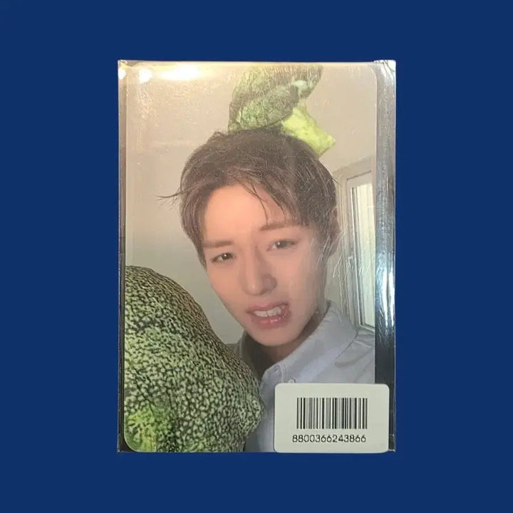 [BUNJANG] Park Jihoon FORMENT Photocard / 박지훈 포맨트 포카 미개봉 새상품