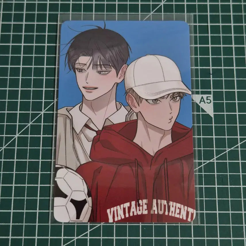 [BUNJANG] Hongsil Quest Pop-up POB Photocard / 홍실퀘스트 팝업 특전 포토카드
